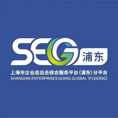 Pudong Sub-platform of Shanghai Enterprises Going Global Integrated Service Platform
